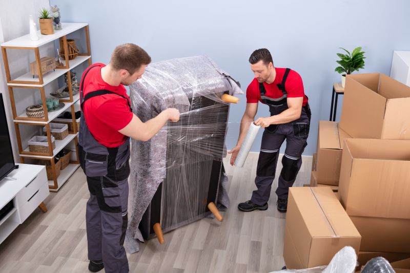 Professional Furniture Moving 2